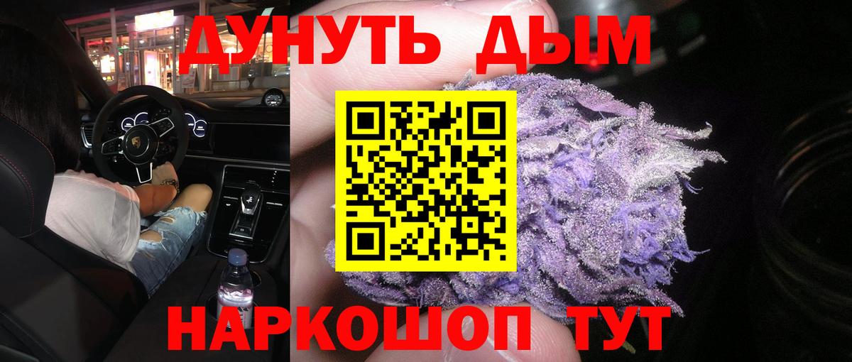 Каннабис план Будённовск